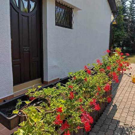 Ferienhaus In - Balaton 19923 *